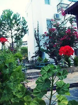 Beste Hotel Golturkbuku Turkiet